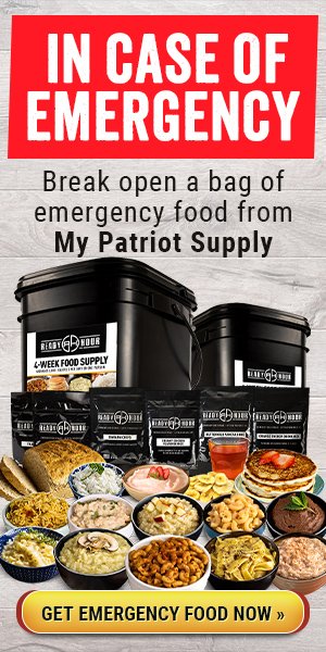 My Patriot Supply 4-week emergency food kit
